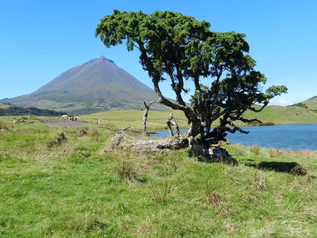Vakantiehuis Adega Pedra Do Lagar Calheta de Nesquim